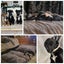 Pound Paws Rescue - Molly, Heading/Hunt pup- ChCh Carousel 3