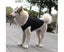 4 pieces of pet cool breathable short sleeved pet supplies dog solid color L Carousel 4
