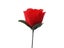 Torch To Flower - Torch To Rose - Fire Magic Trick Flame Appearing Flower Prop Carousel 1
