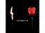 Torch To Flower - Torch To Rose - Fire Magic Trick Flame Appearing Flower Prop Carousel 3
