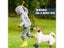 Dog Cat Boots Shoes Socks Waterproof Dog Shoes Rain Snow Pet Booties Anti-Slip Carousel 5