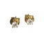 9CT Y/G DIAMOND STUD EARRINGS Carousel 1