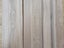 AMERICAN ELM - BLANKED - 125 x 24mm - 39m - TS8060 Carousel 11
