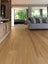 AMERICAN ELM - BLANKED - 125 x 24mm - 39m - TS8060 Carousel 16
