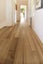 AMERICAN ELM - BLANKED - 125 x 24mm - 39m - TS8060 Carousel 19