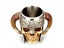 Ram Horned Pit Lord Warrior Stainless Steel Skull Mug Goat Horn Resin Viking Carousel 4