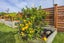 gallery view thumbnail