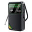 Portable Pocket Radio FM AM SW Radio Carousel 3