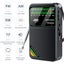 Portable Pocket Radio FM AM SW Radio Carousel 6
