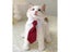 Dog Cat Grooming Animal Striped Bow Tie Pet Collar Christmas Pet Collar Carousel 6