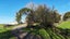 gallery view thumbnail