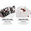Alfresco 2 Person Picnic Basket Set Insulated Blanket Bag Carousel 6