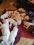 American Bulldog Puppies Carousel 12