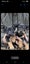 Loading Image 1 of 2