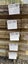 PINE, FENCE PALINGS, 150 x 25mm, ROUGH SAWN, H3.2 TREATED - 252m Carousel 8