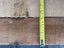 100x25mm 1st Grade Swamp Kauri Timber Lot – Same Log TR13 Carousel 5