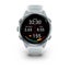 Garmin Forerunner® 570 | 42mm Carousel 5