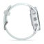 Garmin Forerunner® 570 | 42mm Carousel 6