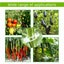 300 Pcs Plant Support Clips,Plastic Clips for Securing Plants,Tomato Vine Clips Carousel 10