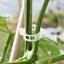 300 Pcs Plant Support Clips,Plastic Clips for Securing Plants,Tomato Vine Clips Carousel 6