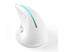 F-36 Wireless vertical 2.4G Bluetooth mouse full color light 8 key programmin Carousel 6