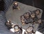 Rottweiler puppies AVAILABLE NOW Carousel 4