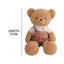 37cm/55cm Cuddly Soft Plush Giant Stuffed Animal Toy Teddy-Bear Gifts Carousel 10