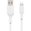 Belkin BOOST&uarr;CHARGE 2 m Lightning/USB Data Transfer Cable for Notebook, Pow Carousel 2