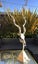 Stunning casts of African KUDU must see Carousel 11