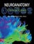 Neuroanatomy through Clinical Cases by Hal Blumenfeld - Paperback Carousel 1