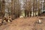 gallery view thumbnail