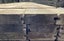PINE, TG&V RETAINING, NO2 GRADE, 135 x 42mm, H4 TREATED - 176.4m - TBT1222 Carousel 7