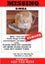 Help find my cat - lost in Glenfield Carousel 1
