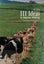 111 IDEAS TO IMPROVE MILKING edited by Jan Fox 1994 Carousel 1