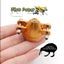 LOOKING FOR SPINNERS / ADAPTERS? Lots in stock now at pilotpetes. 38mm diameter Carousel 4