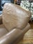 Vintage Brown Genuine Leather Armchair Carousel 11