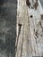 Black Maire Timber – 4.55 m Total (2 Pieces: 100x50mm) Carousel 5