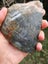 Nelson Nephrite Diopside Pounamu greenstone carving slab with chromite Carousel 7