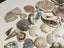 Bulk lot of sea shells (fossil?) Carousel 3