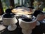 6 Cognac Chairs and Table Carousel 6