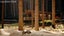 gallery view thumbnail