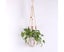 Handwoven Cotton Hanging Planter Basket Multipurpose Decorative Organizer Carousel 4