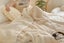Fluffy Fleece Comforter Soft Warm Winter Jacquard Throw Blanket for Couch -Beige Carousel 4
