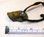 JEWELLERS ESTATE MUSEUM CARVED NETSUKE SEA SLUG IN WOOD ROOT BALL SIGNED IN JADE Carousel 5