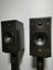 Celestion SL600 bookshelf speaker Carousel 3
