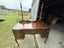 Solid Mahogany 5 Draw Kneehole Dressing Table Carousel 4
