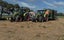Wairuna Agri Services Carousel 11