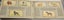 Full set (50)1937 WD HO Wills Dogs in album Carousel 1