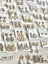 Over 100 items jewelry bulk auction earrings rings necklaces charm Carousel 4