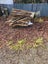 Fire wood Carousel 1